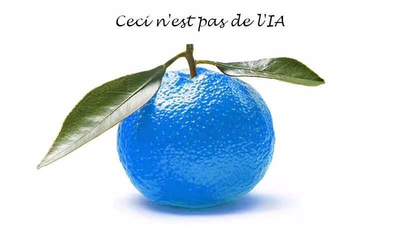 Blue Clementine : un nouveau studio de jeux vidéo à Paris