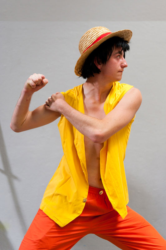 Photo 6 : Cosplay au Paris Manga Sci-fi Show