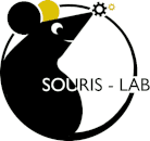 Souris-Lab