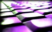 Newsletter AFJV