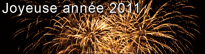 Joyeuse Annee 2011